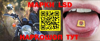 эйфоретик Донской