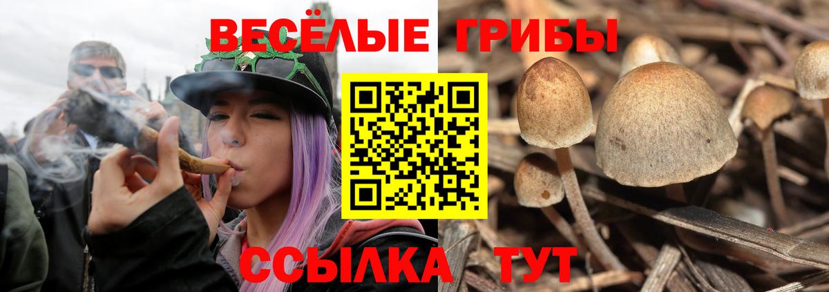 Псилоцибиновые грибы MAGIC MUSHROOMS  Вход с VPN  Медногорск 
